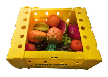 Pasa de la fruta que embala la caja plástica acanalada hueco de los PP
