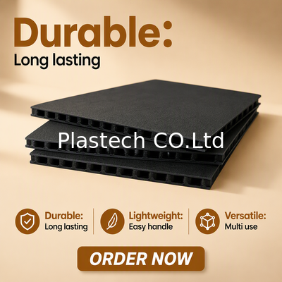 calidad  10mm 3000gsm Plastic Proction Plastic Sheet Fly case Hoenycomb Polypropylene Flight Panel fábrica