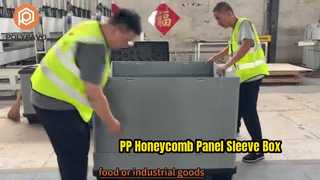Caja de funda de panel de panal de 1220*1140 PP