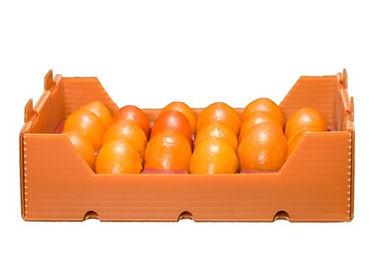Fruta Pp estriados 4m m de la solución del PPP que empaqueta la caja
